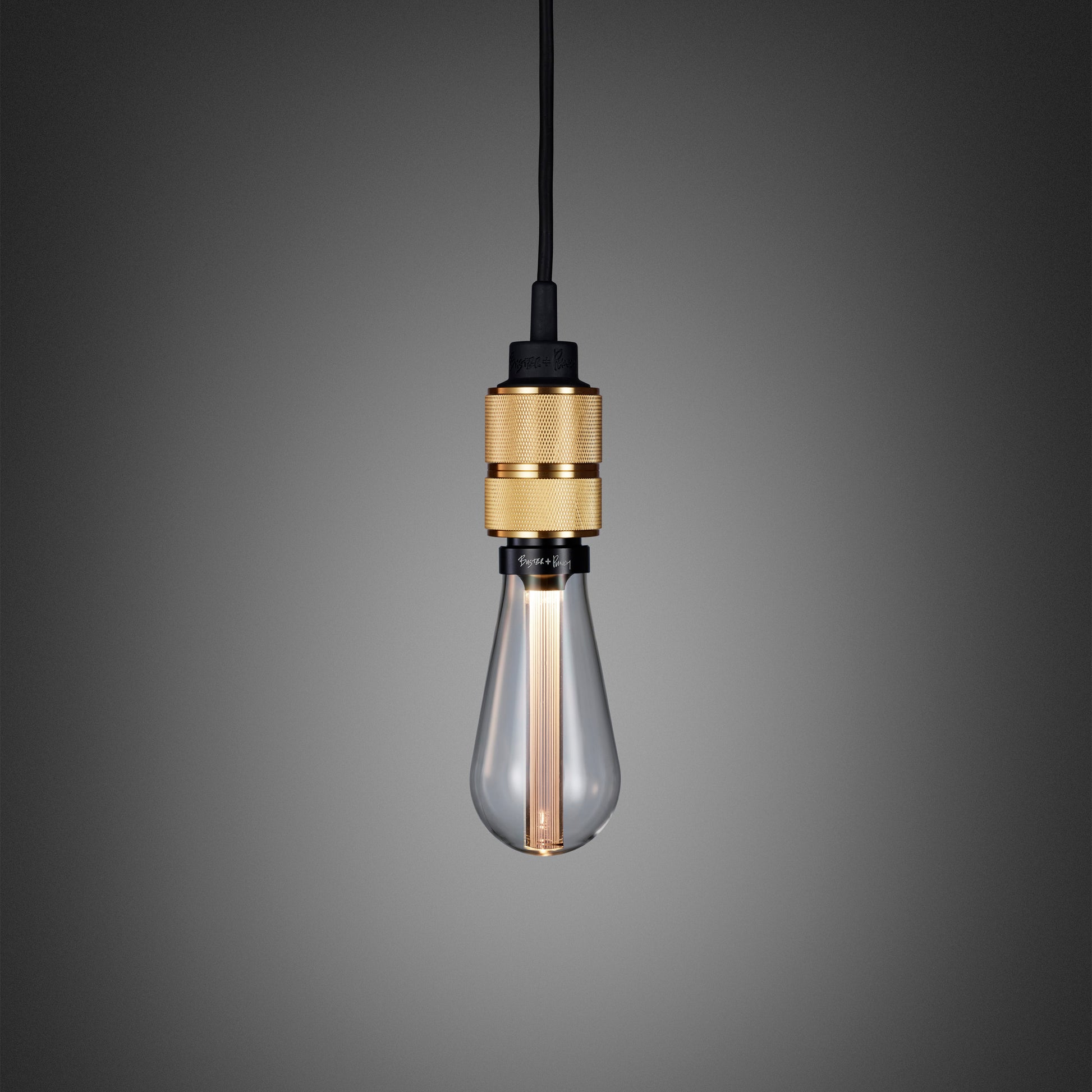 Hooked 1.0 Pendant Light / Nude Brass, front view with crystal bulb.