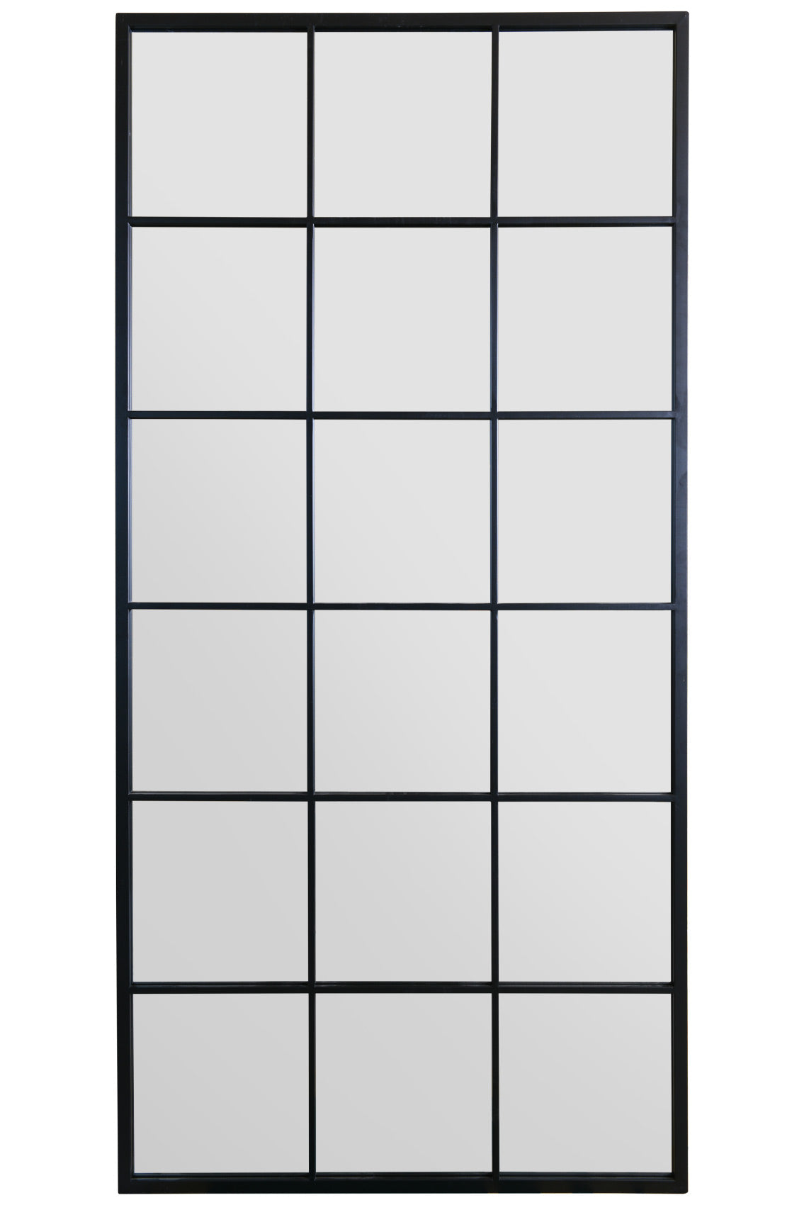 Genestra - Contemporary Black Wall Mirror with Garden Design 69" X 33" (174CM X 85CM)-1