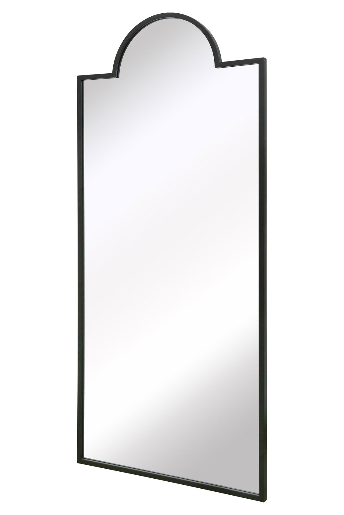 Genestra - Sleek Black 75"x33" (190x85cm) Wall & Leaner Garden Mirror-4