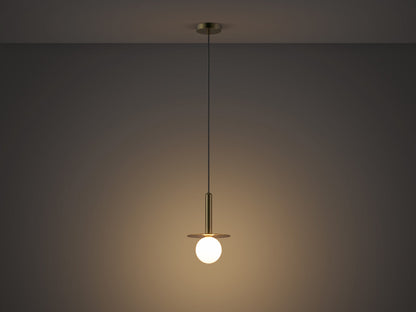 Charcoal Grey Plate Pendant Light