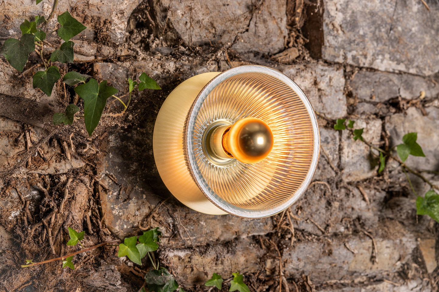 Eclipse Brass and Holophane Glass Dish Wall Light Product Shot