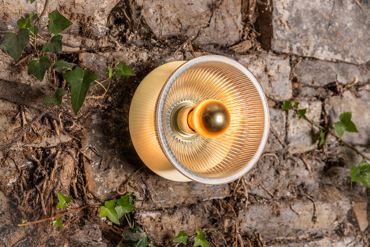 Eclipse Brass and Holophane Glass Dish Wall Light Product Shot