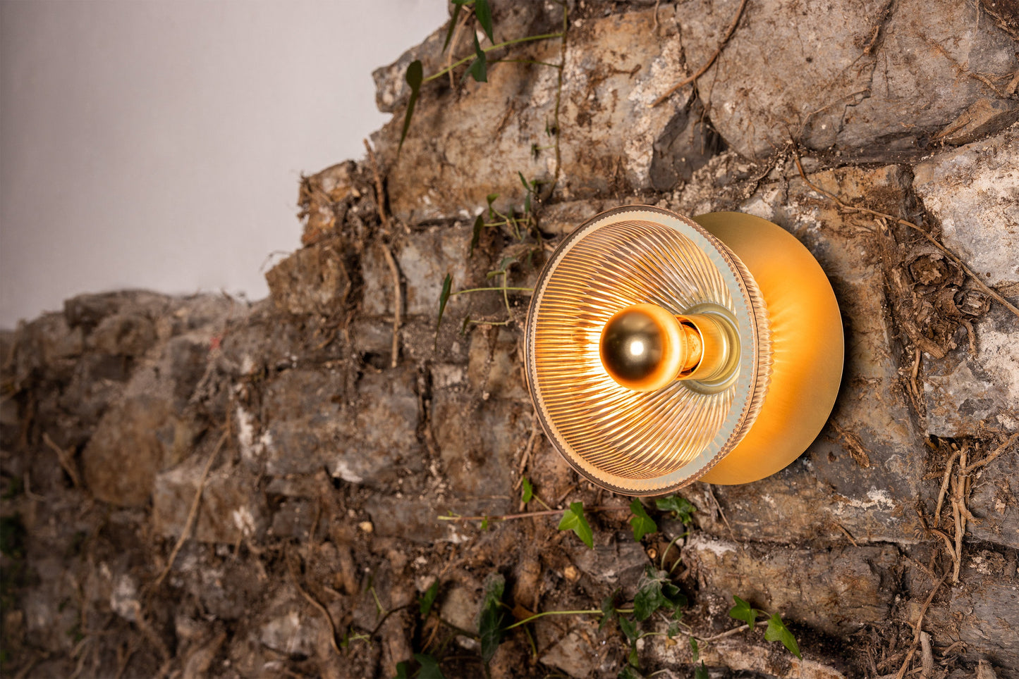 Eclipse Brass and Holophane Glass Dish Wall Light Product Shot