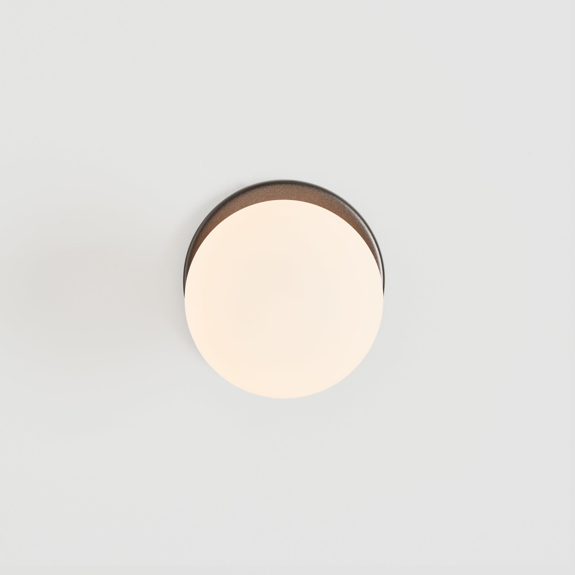 Tala Lochan Graphite Wall Light Oval Still 9